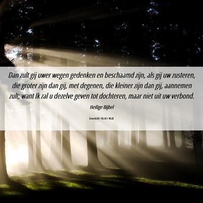 Picture 06 - Ezechiël 16:61 NLD - Dan zult gij uwer wegen gedenken en beschaamd - Bible Verse Picture