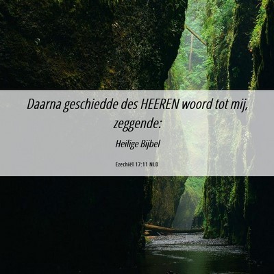 Picture 06 - Ezechiël 17:11 NLD - Daarna geschiedde des HEEREN woord tot mij, - Bible Verse Picture