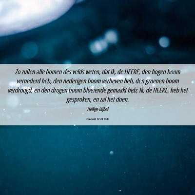 Picture 06 - Ezechiël 17:24 NLD - Zo zullen alle bomen des velds weten, dat Ik, de - Bible Verse Picture