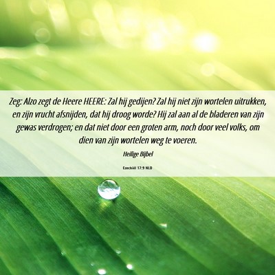 Picture 06 - Ezechiël 17:9 NLD - Zeg: Alzo zegt de Heere HEERE: Zal hij gedijen? - Bible Verse Picture