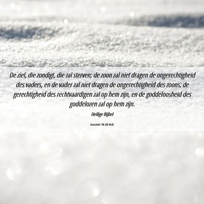 Picture 06 - Ezechiël 18:20 NLD - De ziel, die zondigt, die zal sterven; de zoon - Bible Verse Picture