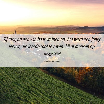 Picture 06 - Ezechiël 19:3 NLD - Zij toog nu een van haar welpen op; het werd een - Bible Verse Picture