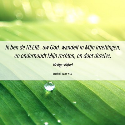 Picture 06 - Ezechiël 20:19 NLD - Ik ben de HEERE, uw God, wandelt in Mijn - Bible Verse Picture