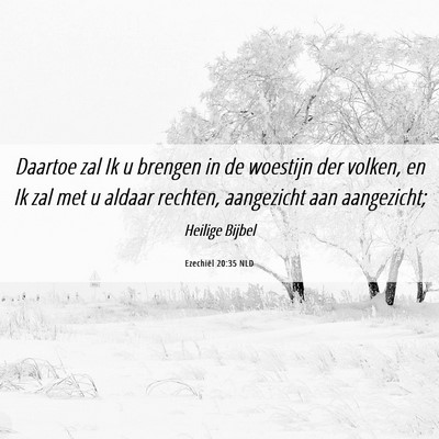 Picture 06 - Ezechiël 20:35 NLD - Daartoe zal Ik u brengen in de woestijn der - Bible Verse Picture