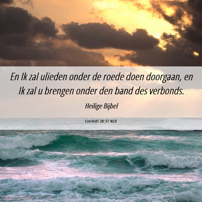 Picture 06 - Ezechiël 20:37 NLD - En Ik zal ulieden onder de roede doen doorgaan, - Bible Verse Picture
