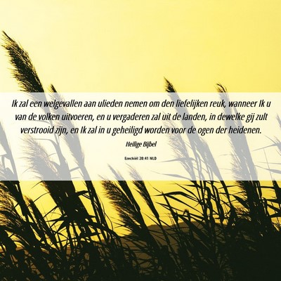 Picture 06 - Ezechiël 20:41 NLD - Ik zal een welgevallen aan ulieden nemen om den - Bible Verse Picture