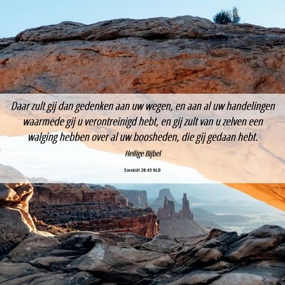 Picture 06 - Ezechiël 20:43 NLD - Daar zult gij dan gedenken aan uw wegen, en aan - Bible Verse Picture