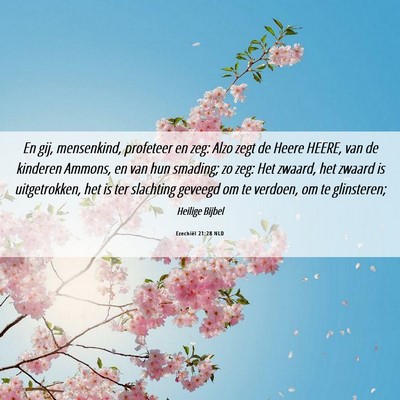 Picture 06 - Ezechiël 21:28 NLD - En gij, mensenkind, profeteer en zeg: Alzo zegt - Bible Verse Picture