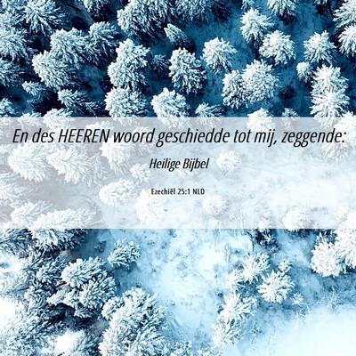 Picture 06 - Ezechiël 25:1 NLD - En des HEEREN woord geschiedde tot mij, - Bible Verse Picture