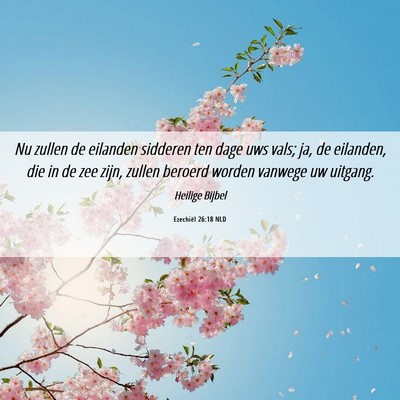 Picture 06 - Ezechiël 26:18 NLD - Nu zullen de eilanden sidderen ten dage uws vals; - Bible Verse Picture