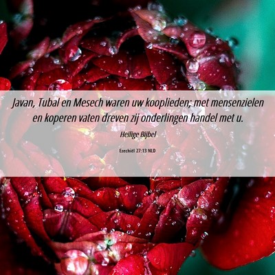 Picture 06 - Ezechiël 27:13 NLD - Javan, Tubal en Mesech waren uw kooplieden; met - Bible Verse Picture