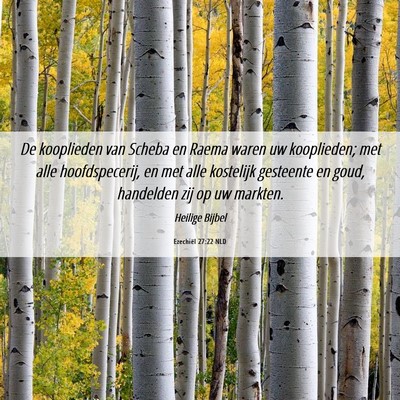 Picture 06 - Ezechiël 27:22 NLD - De kooplieden van Scheba en Raema waren uw - Bible Verse Picture