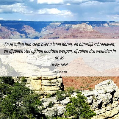 Picture 06 - Ezechiël 27:30 NLD - En zij zullen hun stem over u laten horen, en - Bible Verse Picture