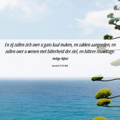 Picture 06 - Ezechiël 27:31 NLD - En zij zullen zich over u gans kaal maken, en - Bible Verse Picture