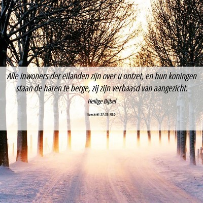 Picture 06 - Ezechiël 27:35 NLD - Alle inwoners der eilanden zijn over u ontzet, en - Bible Verse Picture