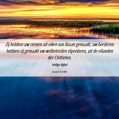 Picture 06 - Ezechiël 27:6 NLD - Zij hebben uw riemen uit eiken van Basan gemaakt; - Bible Verse Picture