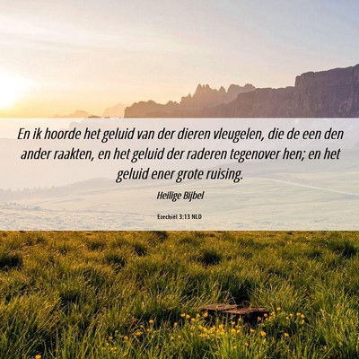 Picture 06 - Ezechiël 3:13 NLD - En ik hoorde het geluid van der dieren vleugelen, - Bible Verse Picture