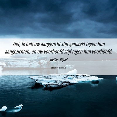 Picture 06 - Ezechiël 3:8 NLD - Ziet, Ik heb uw aangezicht stijf gemaakt tegen - Bible Verse Picture