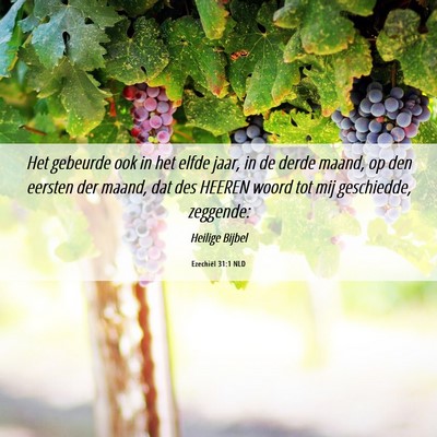 Picture 06 - Ezechiël 31:1 NLD - Het gebeurde ook in het elfde jaar, in de derde - Bible Verse Picture