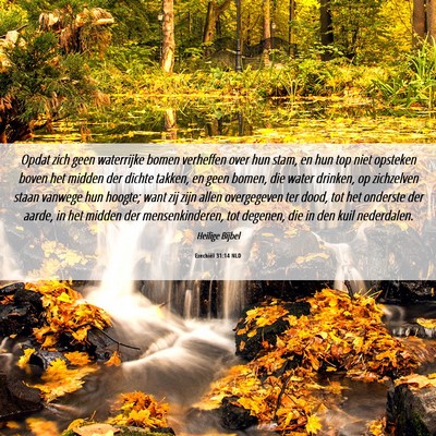 Picture 06 - Ezechiël 31:14 NLD - Opdat zich geen waterrijke bomen verheffen over - Bible Verse Picture
