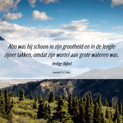 Picture 06 - Ezechiël 31:7 NLD - Alzo was hij schoon in zijn grootheid en in de - Bible Verse Picture