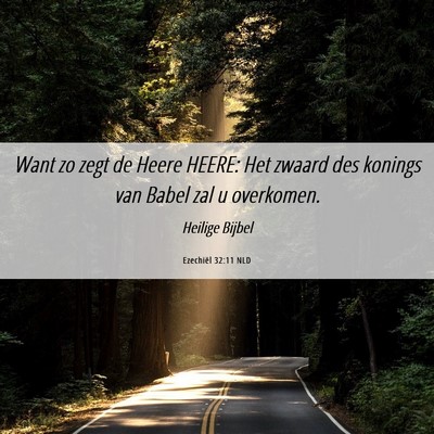 Picture 06 - Ezechiël 32:11 NLD - Want zo zegt de Heere HEERE: Het zwaard des - Bible Verse Picture