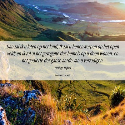 Picture 06 - Ezechiël 32:4 NLD - Dan zal Ik u laten op het land, Ik zal u - Bible Verse Picture