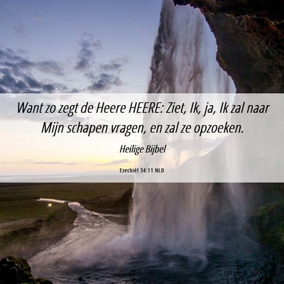 Picture 06 - Ezechiël 34:11 NLD - Want zo zegt de Heere HEERE: Ziet, Ik, ja, Ik zal - Bible Verse Picture