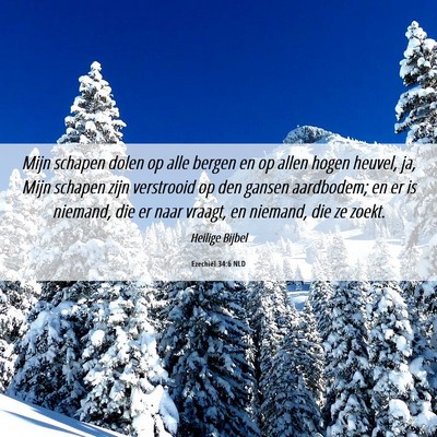 Picture 06 - Ezechiël 34:6 NLD - Mijn schapen dolen op alle bergen en op allen - Bible Verse Picture