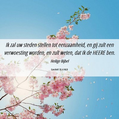 Picture 06 - Ezechiël 35:4 NLD - Ik zal uw steden stellen tot eenzaamheid, en gij - Bible Verse Picture