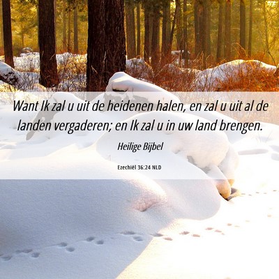 Picture 06 - Ezechiël 36:24 NLD - Want Ik zal u uit de heidenen halen, en zal u uit - Bible Verse Picture