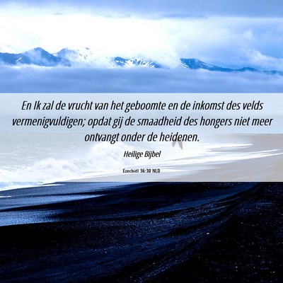 Picture 06 - Ezechiël 36:30 NLD - En Ik zal de vrucht van het geboomte en de - Bible Verse Picture