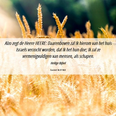 Picture 06 - Ezechiël 36:37 NLD - Alzo zegt de Heere HEERE: Daarenboven zal Ik - Bible Verse Picture