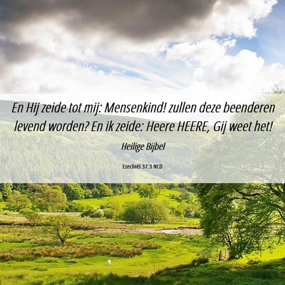 Picture 06 - Ezechiël 37:3 NLD - En Hij zeide tot mij: Mensenkind! zullen deze - Bible Verse Picture