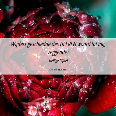 Picture 06 - Ezechiël 38:1 NLD - Wijders geschiedde des HEEREN woord tot mij, - Bible Verse Picture