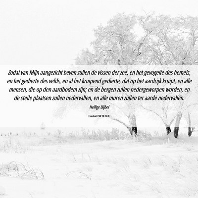 Picture 06 - Ezechiël 38:20 NLD - Zodat van Mijn aangezicht beven zullen de vissen - Bible Verse Picture