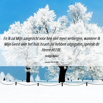 Picture 06 - Ezechiël 39:29 NLD - En Ik zal Mijn aangezicht voor hen niet meer - Bible Verse Picture