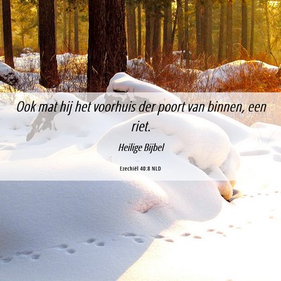 Picture 06 - Ezechiël 40:8 NLD - Ook mat hij het voorhuis der poort van binnen, - Bible Verse Picture