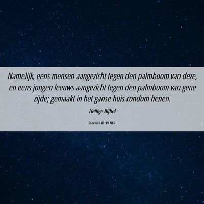 Picture 06 - Ezechiël 41:19 NLD - Namelijk, eens mensen aangezicht tegen den - Bible Verse Picture