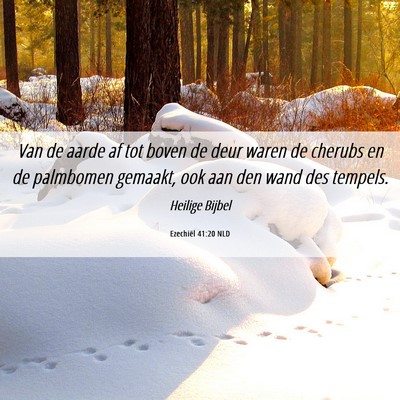 Picture 06 - Ezechiël 41:20 NLD - Van de aarde af tot boven de deur waren de - Bible Verse Picture