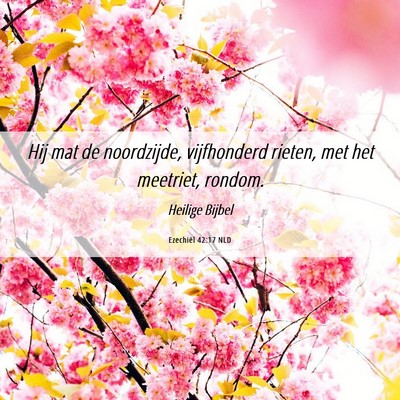 Picture 06 - Ezechiël 42:17 NLD - Hij mat de noordzijde, vijfhonderd rieten, met - Bible Verse Picture