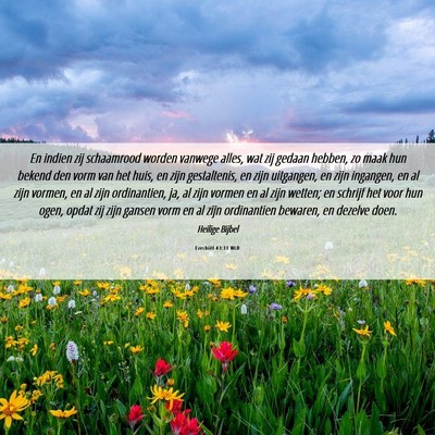 Picture 06 - Ezechiël 43:11 NLD - En indien zij schaamrood worden vanwege alles, - Bible Verse Picture