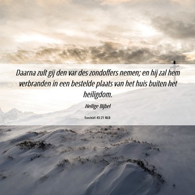 Picture 06 - Ezechiël 43:21 NLD - Daarna zult gij den var des zondoffers nemen; en - Bible Verse Picture