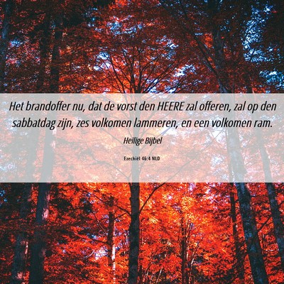 Picture 06 - Ezechiël 46:4 NLD - Het brandoffer nu, dat de vorst den HEERE zal - Bible Verse Picture