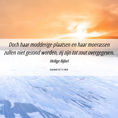 Picture 06 - Ezechiël 47:11 NLD - Doch haar modderige plaatsen en haar moerassen - Bible Verse Picture
