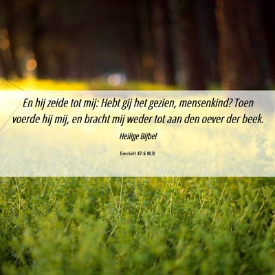 Picture 06 - Ezechiël 47:6 NLD - En hij zeide tot mij: Hebt gij het gezien, - Bible Verse Picture