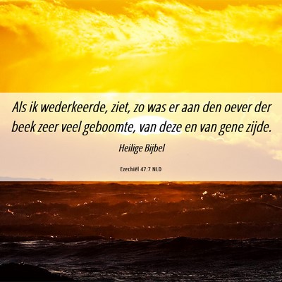 Picture 06 - Ezechiël 47:7 NLD - Als ik wederkeerde, ziet, zo was er aan den oever - Bible Verse Picture