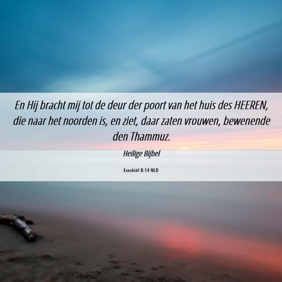 Picture 06 - Ezechiël 8:14 NLD - En Hij bracht mij tot de deur der poort van het - Bible Verse Picture