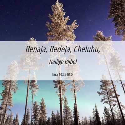 Picture 06 - Ezra 10:35 NLD - Benaja, Bedeja, - Bible Verse Picture