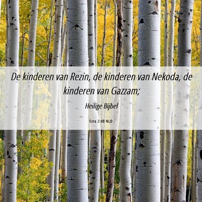 Picture 06 - Ezra 2:48 NLD - De kinderen van Rezin, de kinderen van Nekoda, de - Bible Verse Picture
